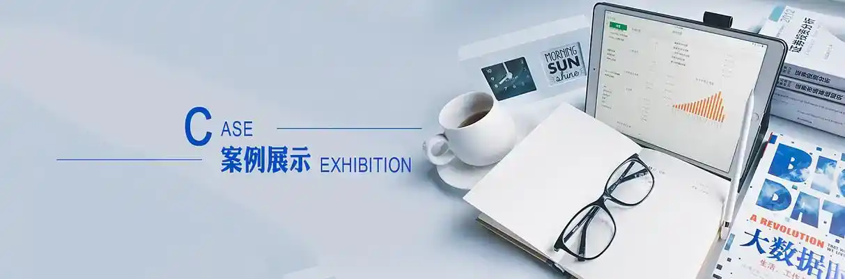 辽中县软件开发